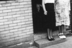 image-0096